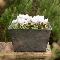 Dark Galvanised Square Planter 7 Dark Galvanised Square Planter -KANG Plants Shop pr2000033971 card3 lg