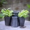 Dark Galvanised Pots - Set Of 6 1 Dark Galvanised Pots - Set Of 6 -KANG Plants Shop pr2000033979