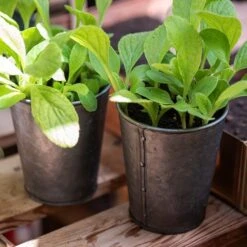 Dark Galvanised Pots - Set Of 6 -KANG Plants Shop pr2000033979 card3 lg