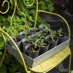 Dark Galvanised Pots - Set Of 6 -KANG Plants Shop pr2000033979 card4 lg