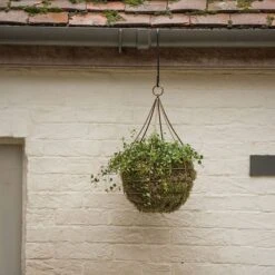 Hanging Tear Drop Basket - Wide -KANG Plants Shop pr2000033989 card3 lg