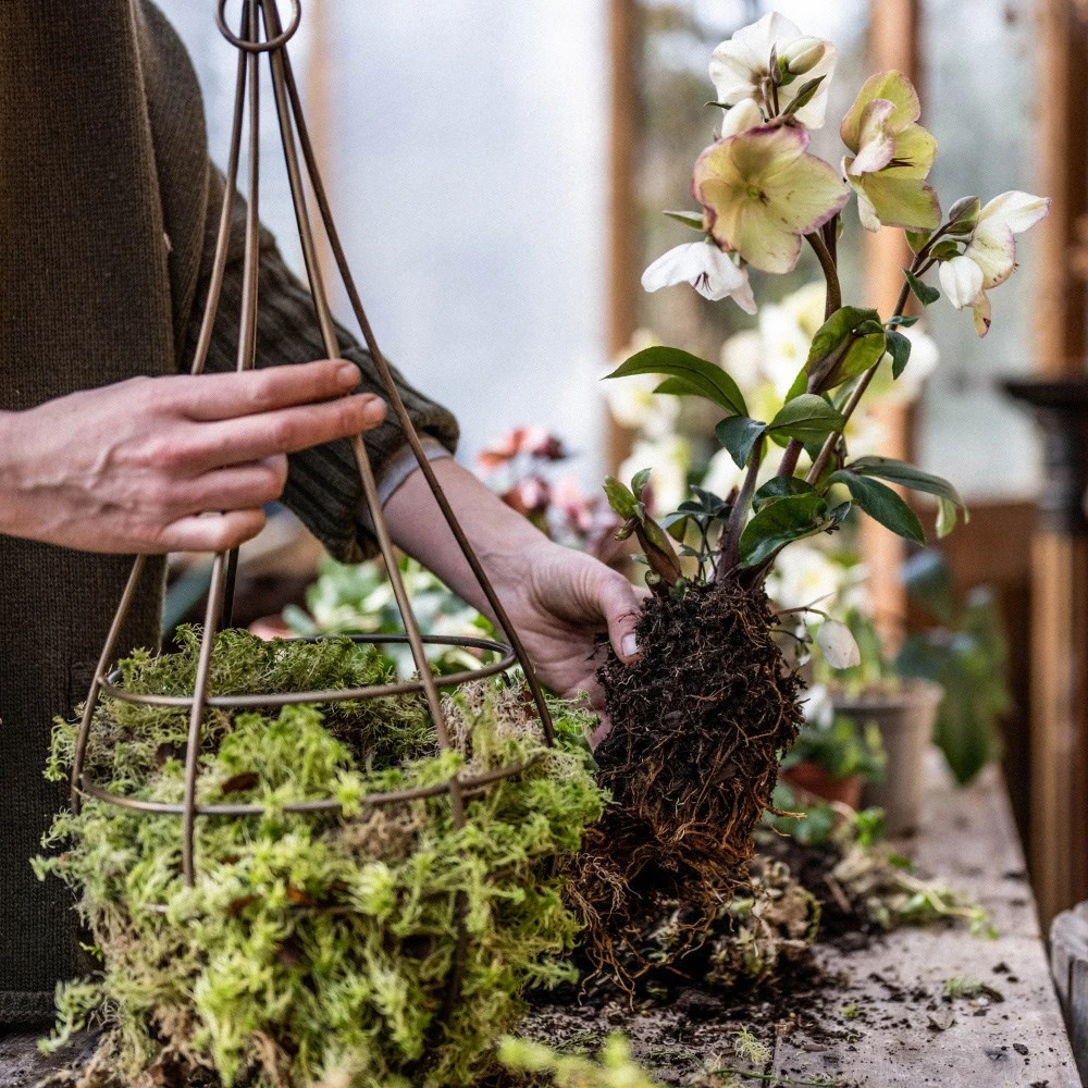 Hanging Tear Drop Basket - Slim 4 Hanging Tear Drop Basket - Slim - Image 2