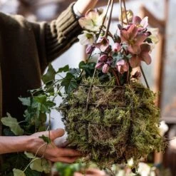 Hanging Tear Drop Basket - Slim 9 Hanging Tear Drop Basket - Slim -KANG Plants Shop pr2000033990 card3 lg