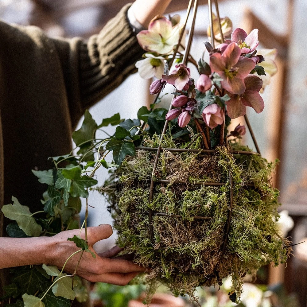 Hanging Tear Drop Basket - Slim 5 Hanging Tear Drop Basket - Slim - Image 3