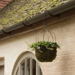Hanging Plant Cage - Wide -KANG Plants Shop pr2000033991 card3 lg