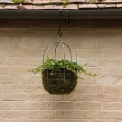 Hanging Plant Cage - Wide -KANG Plants Shop pr2000033991 card4 lg