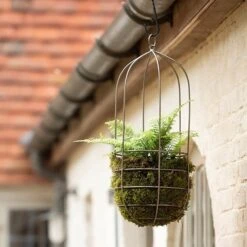 Hanging Plant Cage - Tall -KANG Plants Shop pr2000033992 card3 lg