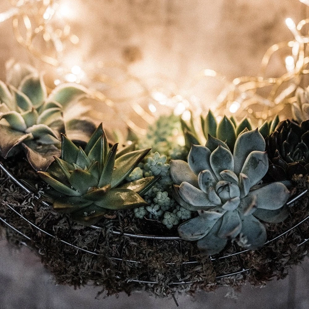 Hanging Wreath Basket 5 Hanging Wreath Basket - Image 3