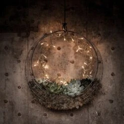 Hanging Wreath Basket 14 Hanging Wreath Basket -KANG Plants Shop pr2000033995 card5 lg