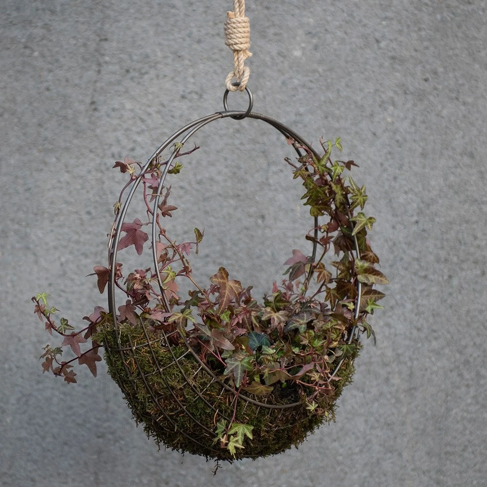 Hanging Wreath Basket 10 Hanging Wreath Basket - Image 8