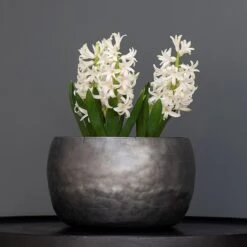 Zinc Bowls - Set Of 3 -KANG Plants Shop pr2000033999 card3 lg