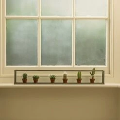 Windowsill Terrarium -KANG Plants Shop pr2000034004 card2 lg