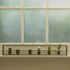 Windowsill Terrarium -KANG Plants Shop pr2000034004 card3 lg