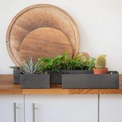 Zinc Wall Planters - Set Of 3 -KANG Plants Shop pr2000034019 card3 lg