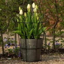 Perennial/bulb Planter With Support