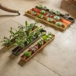 Brushed Brass Tray -KANG Plants Shop pr2000034034 card3 lg