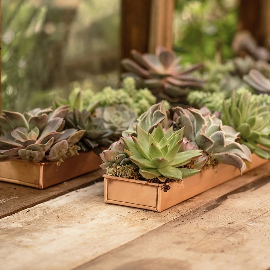 Brushed Copper Tray 3 Brushed Copper Tray