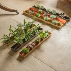 Brushed Copper Tray 13 Brushed Copper Tray -KANG Plants Shop pr2000034036 card5 lg