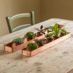 Brushed Copper Tray 14 Brushed Copper Tray -KANG Plants Shop pr2000034036 card6 lg