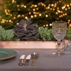 Brushed Copper Tray 15 Brushed Copper Tray -KANG Plants Shop pr2000034036 card7 lg