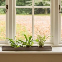 Zinc Metal Tray -KANG Plants Shop pr2000034039 card2 lg