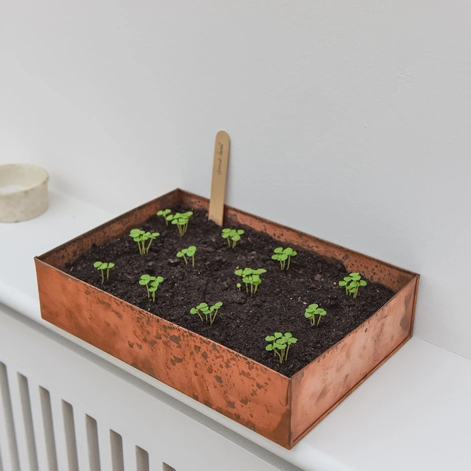 Brushed Copper Seed Tray 3 Brushed Copper Seed Tray