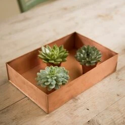 Brushed Copper Seed Tray 14 Brushed Copper Seed Tray -KANG Plants Shop pr2000034042 card4 lg