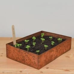 Brushed Copper Seed Tray 15 Brushed Copper Seed Tray -KANG Plants Shop pr2000034042 card5 lg