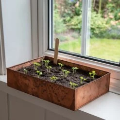 Brushed Copper Seed Tray 16 Brushed Copper Seed Tray -KANG Plants Shop pr2000034042 card6 lg