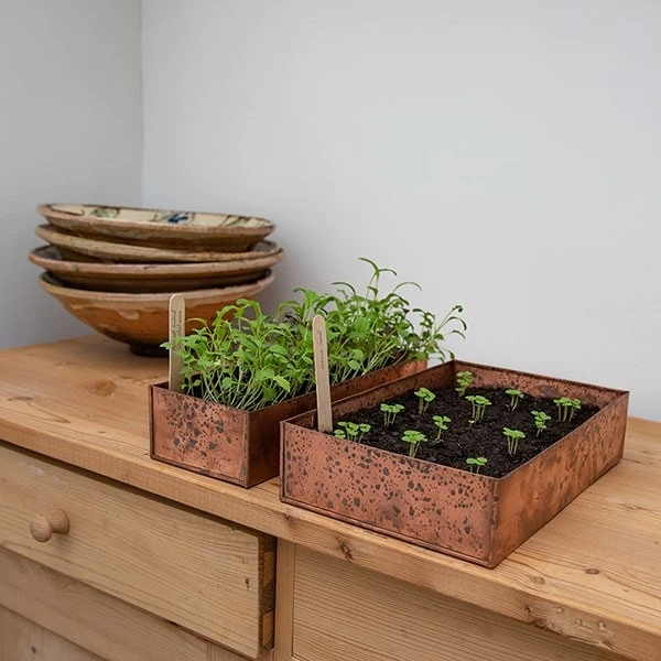 Brushed Copper Seed Tray 9 Brushed Copper Seed Tray - Image 7