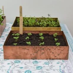 Brushed Copper Seed Tray 18 Brushed Copper Seed Tray -KANG Plants Shop pr2000034042 card8 lg