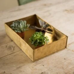 Brushed Brass Seed Tray -KANG Plants Shop pr2000034043 card6 lg