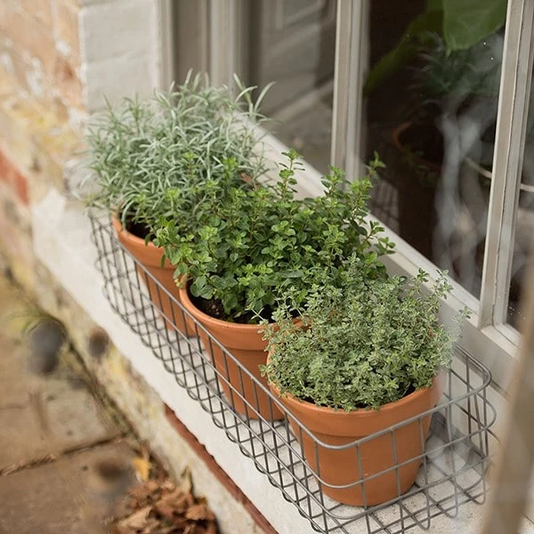 Pot Window Basket 4 Pot Window Basket - Image 2