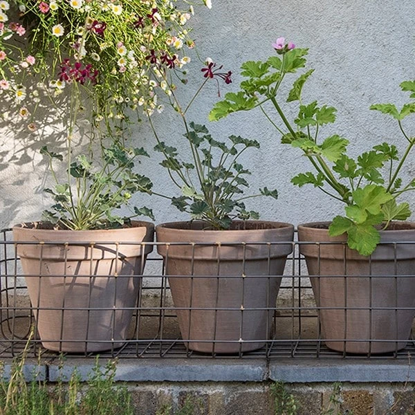 Pot Window Basket 5 Pot Window Basket - Image 3
