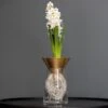 Brass Cone Hyacinth Vase 2 Brass Cone Hyacinth Vase -KANG Plants Shop pr2000034055