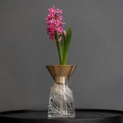 Brass Cone Hyacinth Vase -KANG Plants Shop pr2000034055 card2 lg