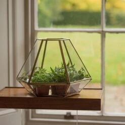 Terrarium With Brass Base Tray -KANG Plants Shop pr2000034059 card3 lg