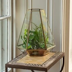 Terrarium With Brass Base Tray -KANG Plants Shop pr2000034059 card4 lg