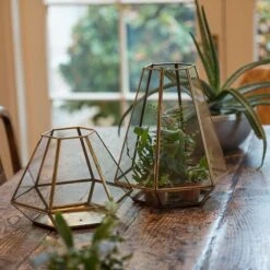 Terrarium With Brass Base Tray -KANG Plants Shop pr2000034059 card5 lg