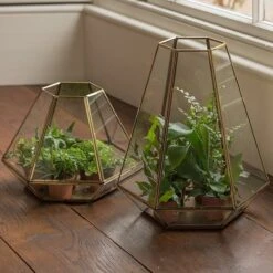 Terrarium With Brass Base Tray -KANG Plants Shop pr2000034059 card6 lg