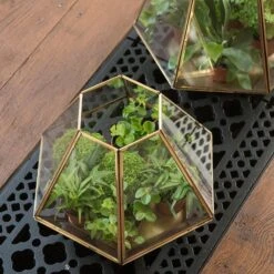 Terrarium With Brass Base Tray -KANG Plants Shop pr2000034059 card7 lg
