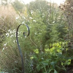 Border Scroll Hook Stake - Large -KANG Plants Shop pr2000034064 card5 lg