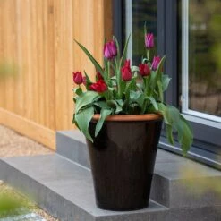 Glazed Terracotta Pot - Black 21 Glazed Terracotta Pot - Black -KANG Plants Shop pr2000034127 card11 lg