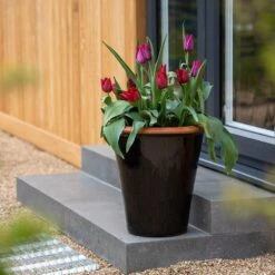 Glazed Terracotta Pot - Black 14 Glazed Terracotta Pot - Black -KANG Plants Shop pr2000034127 card3 lg