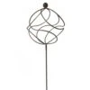Tangle Ball On 4ft Stem -KANG Plants Shop pr2000035103