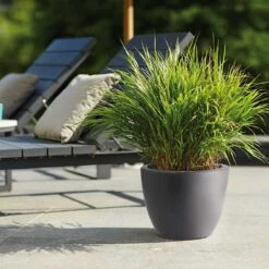 Pure Soft Round Pot With Wheels Anthracite -KANG Plants Shop pr2000035201 card2 lg