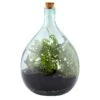 Plant Terrarium Bottle 15 Litre Set -KANG Plants Shop pr2000035302