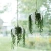 White Sphere Air Plant Hanging Planter -KANG Plants Shop pr2000035489