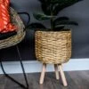 Water Hyacinth Lined Plant Basket On Legs - Natural 2 Water Hyacinth Lined Plant Basket On Legs - Natural -KANG Plants Shop pr2000035511