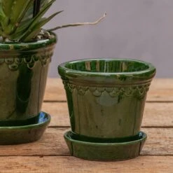 Scalloped Tapered Plant Pot With Saucer - Dark Green 8 Scalloped Tapered Plant Pot With Saucer - Dark Green -KANG Plants Shop pr2000035578 card3 lg